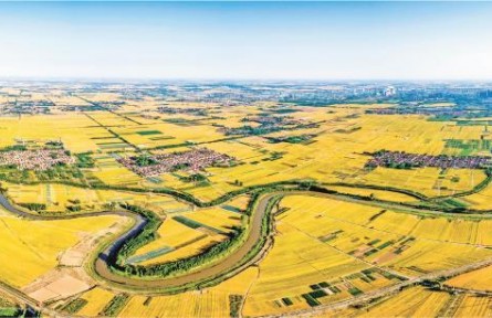 山東：高質(zhì)量高水平描繪鄉(xiāng)村振興壯美畫卷