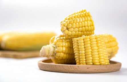 辟謠 | 警惕這4種“偽粗糧”，很多人都沒有吃對(duì)！