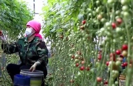 農(nóng)業(yè)農(nóng)村部：多措并舉確保產(chǎn)品供應(yīng)