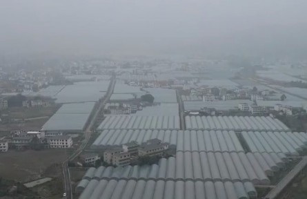 【新春走基層·總書記到過我們家】潭頭村里的新年新“硒”望