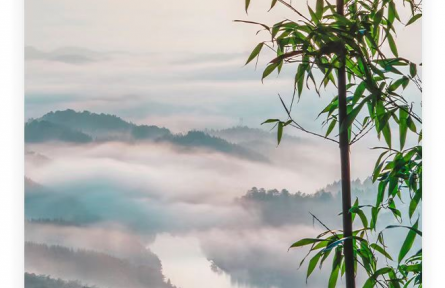 名人名言 | 孔子：其身正，不令而行；其身不正，雖令不從