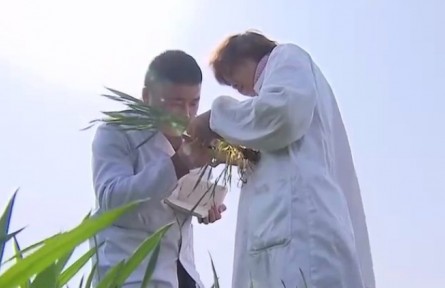 安徽：開(kāi)局抓作風(fēng) 聚力謀發(fā)展