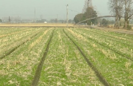 浙江寧波海曙區(qū)入選省級(jí)“肥藥兩制”改革綜合試點(diǎn)