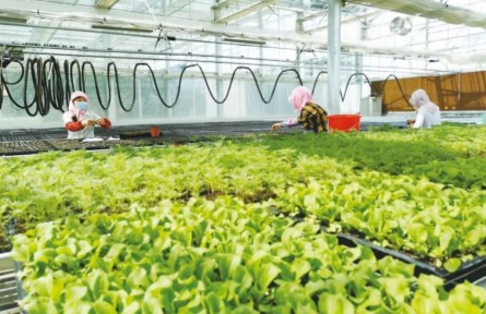 農(nóng)業(yè)農(nóng)村部：到2025年在全國建設(shè)1000家國家級生態(tài)農(nóng)場