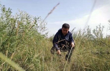 劉海江：十余載初心不改，做好生態(tài)環(huán)境保護的“眼睛”和“耳朵”