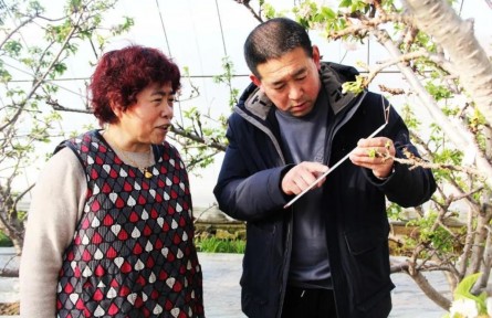 山東煙臺(tái)海陽(yáng)市：因地制宜 一鎮(zhèn)一策 譜出鄉(xiāng)村振興新愿景