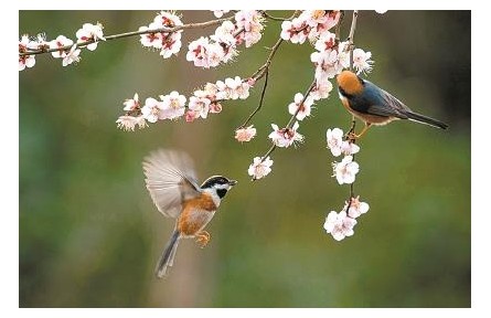 二十四節(jié)氣：古詩(shī)詞里的“時(shí)間美”