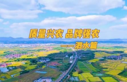 山東濟(jì)寧泗水縣：強(qiáng)化品牌農(nóng)業(yè)建設(shè) 助力鄉(xiāng)村振興