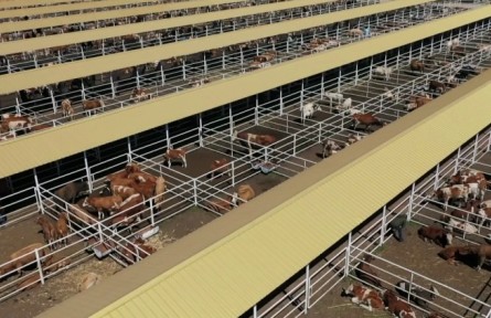 內(nèi)蒙古科右中旗：開(kāi)啟復(fù)工復(fù)產(chǎn)“加速跑” 搶抓第一季度“開(kāi)門紅”