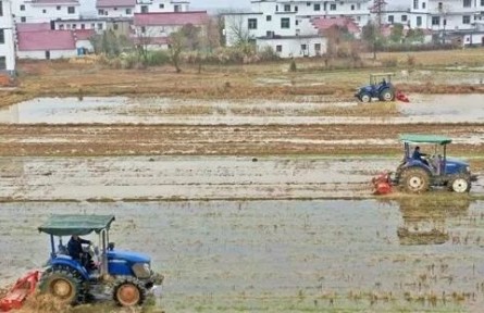 2022年江西省早稻意向播種面積達1830萬畝