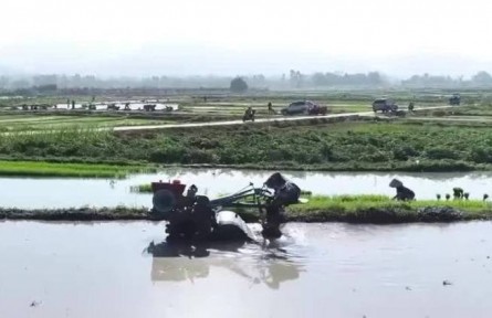 壓責任 保收益 強基礎(chǔ) 保障國家糧食安全