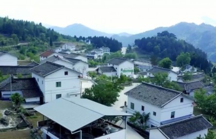 2022年全面推進(jìn)鄉(xiāng)村振興重點(diǎn)工作明確