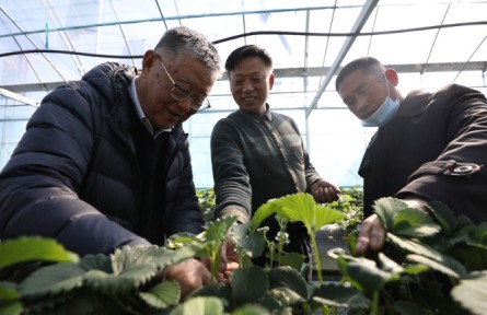 “全國脫貧攻堅楷?！壁w亞夫：帶民同致富，把成績寫在大地上