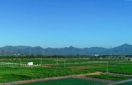 海南大力推進“南繁硅谷”建設 推動南繁產(chǎn)業(yè)高質(zhì)量發(fā)展