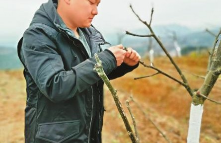 海歸碩士陳智天變“新農(nóng)人”：搞農(nóng)業(yè)并不比研發(fā)芯片容易