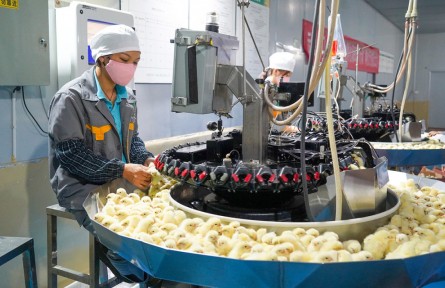 云南開(kāi)遠(yuǎn)：闊步邁入現(xiàn)代高效農(nóng)業(yè)快車道