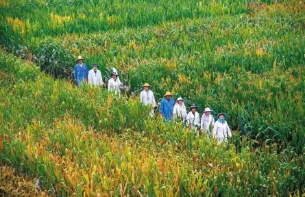 西北農(nóng)林科技大學(xué)：“科技候鳥”躬耕田野 鑄造“中國飯碗”堅實(shí)底座