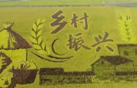 【奮進(jìn)新征程 建功新時代】山東：加快農(nóng)業(yè)新舊動能轉(zhuǎn)換 建設(shè)現(xiàn)代農(nóng)業(yè)強省