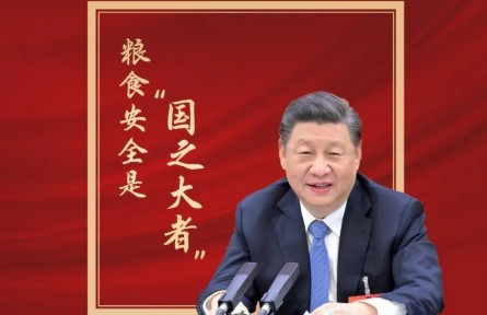 習(xí)近平：糧食安全是“國(guó)之大者”