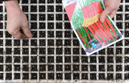 種源安全 germplasm resources security