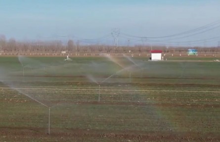 山東：藏糧于地、藏糧于技 確保中國人的飯碗主要裝中國糧