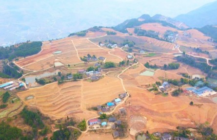 四川達州開江縣：喚醒土地新活力 讓撂荒地變“致富田”