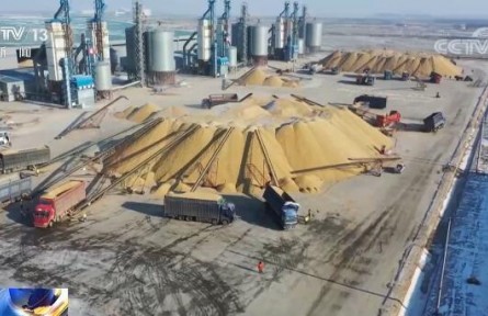 國(guó)家糧食和物資儲(chǔ)備局：我國(guó)糧食安全形勢(shì)總體較好 保供穩(wěn)價(jià)基礎(chǔ)扎實(shí)