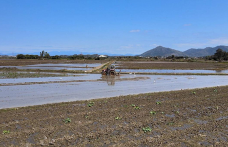 奮力書寫保障糧食安全的“海豐答卷”