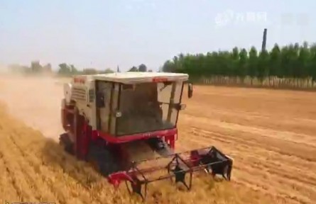 扛牢農(nóng)業(yè)大省責任 打造鄉(xiāng)村振興齊魯樣板