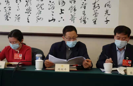 代表委員建言獻策全面推進鄉(xiāng)村振興