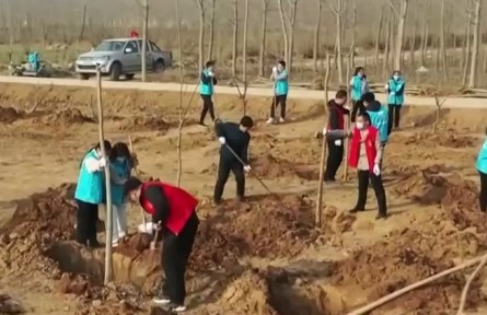 第44個植樹節(jié) 多地群眾干部積極開展植樹活動
