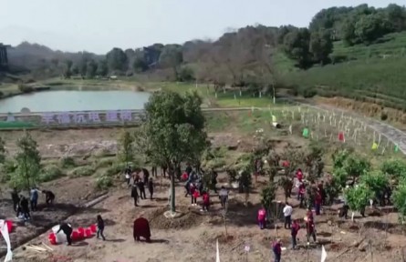 2022年全國計(jì)劃植樹造林5006萬畝