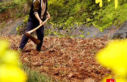 春耕正當(dāng)時