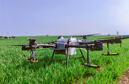 河南：守好耕地糧滿倉