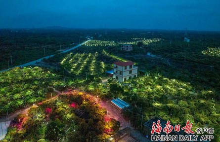 海南?？冢嚎萍假x能 助力鄉(xiāng)村振興