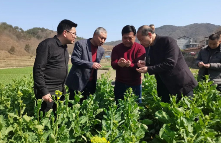 陜西安康：搶抓農(nóng)時(shí)保春耕 農(nóng)技指導(dǎo)到田間