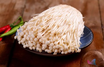 辟謠 | 金針菇為什么叫“明天見(jiàn)”？吃了等于白吃？原來(lái)一直誤會(huì)它了