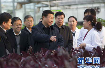 習(xí)近平總書記三農(nóng)觀：農(nóng)業(yè)現(xiàn)代化關(guān)鍵在科技進(jìn)步