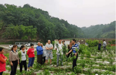 |羅國森：這位水果“守護神” 用科技釀出了“致富蜜”