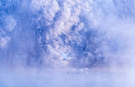 《大美中國·春天系列》春天的新疆