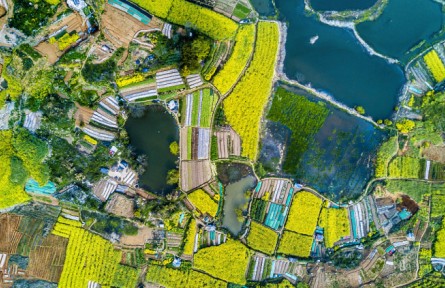 安徽銅陵：碧波微瀾隨日暖 暗香浮動伴春風(fēng)