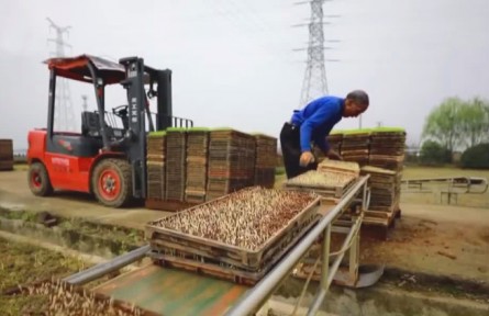 浙江金華：機(jī)械化育秧助力早稻春播