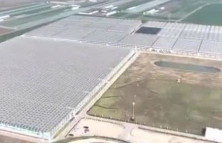 山東：智慧化標準化助推現(xiàn)代農業(yè)產業(yè)園崛起