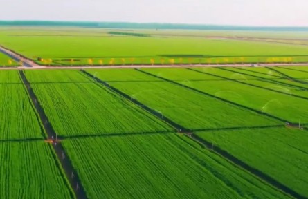 河南：大力發(fā)展節(jié)水農(nóng)業(yè) 厚植綠色發(fā)展理念