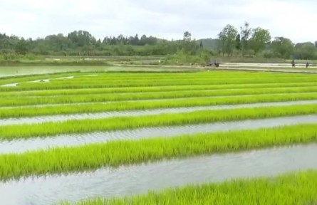 貴州：農(nóng)機助春耕 農(nóng)戶“慧”種地