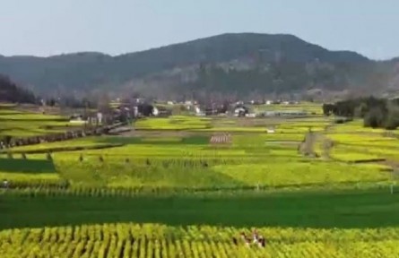 陜西：穩(wěn)糧食 保耕地 防返貧 2022年將全面推進鄉(xiāng)村振興六項重點工作