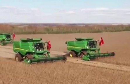 黑龍江：提升大豆自給率 維護(hù)糧食安全