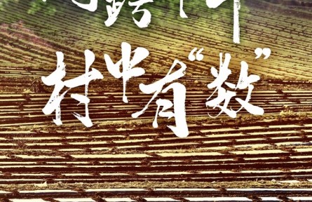 網跨千年，村中有“數(shù)”——“數(shù)字鄉(xiāng)村”賦能西部發(fā)展觀察