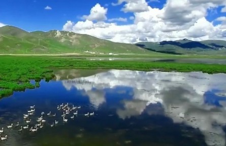 青海：堅定不移做“中華水塔”守護(hù)人