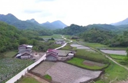 陜西：推廣新技術(shù) 確保農(nóng)戶穩(wěn)產(chǎn)增收